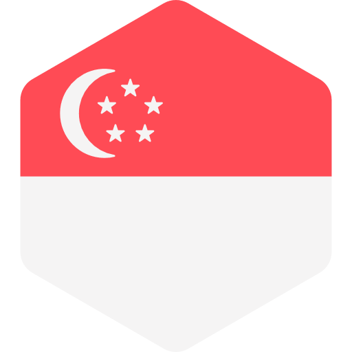 EDG Singapore flag