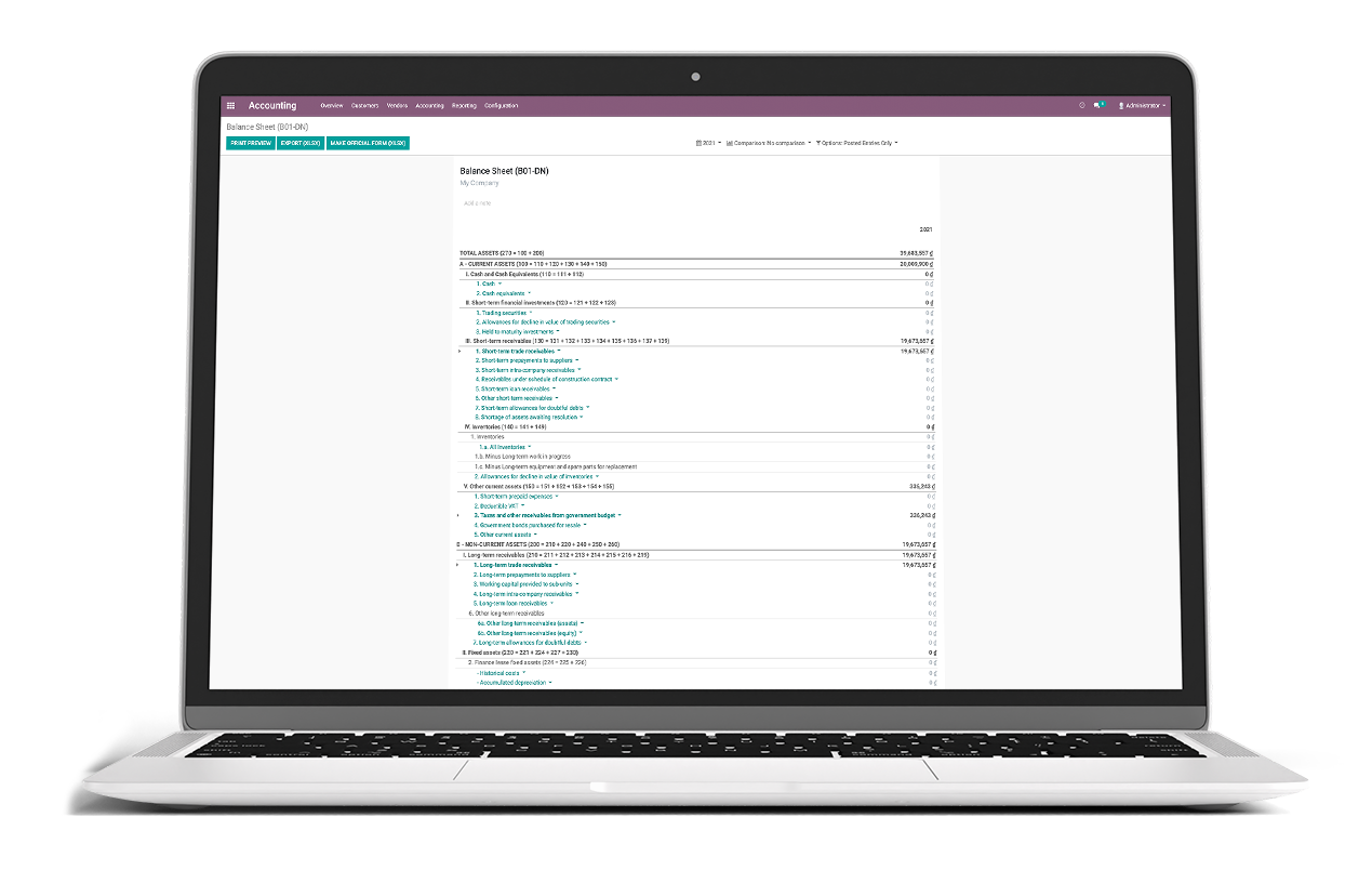 Balance sheet report in Odoo accounting app